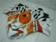 Carenado Honda CBR 1000 RR 2004-2005 - Naranja Blanco Repsol