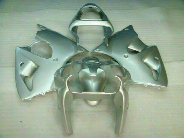 Carenado Kawasaki ZX6R 2000-2002 - Plata